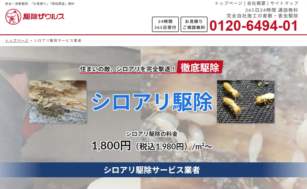 駆除ザウルス スタッフ写真